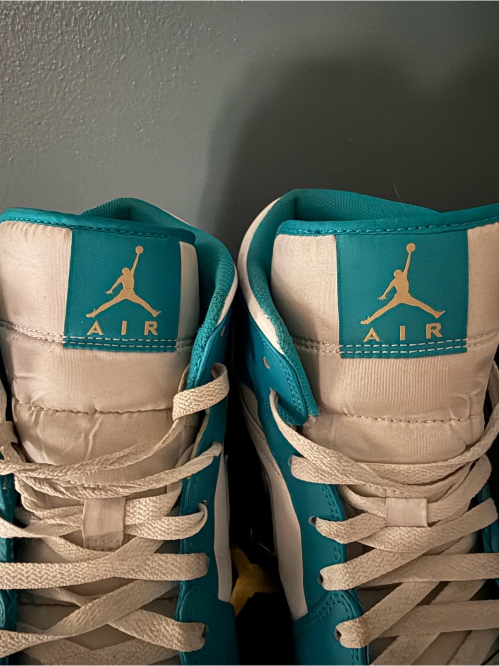 Nike Air Jordan High Top Sneakers in Teal and White